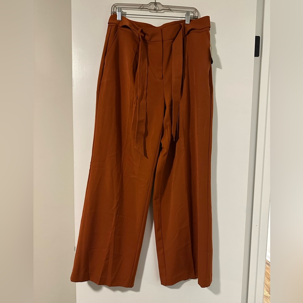 NWT Women's Size 12 RYEGRASS Rust Wide-Leg Pants